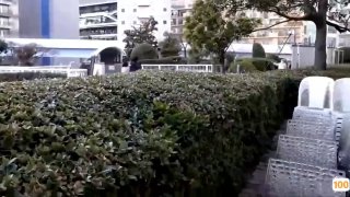 少妇搡bbbb搡bbb丰满亚洲国产精品无码久久久久高潮...